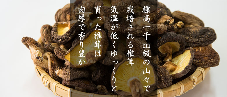 しいたけ